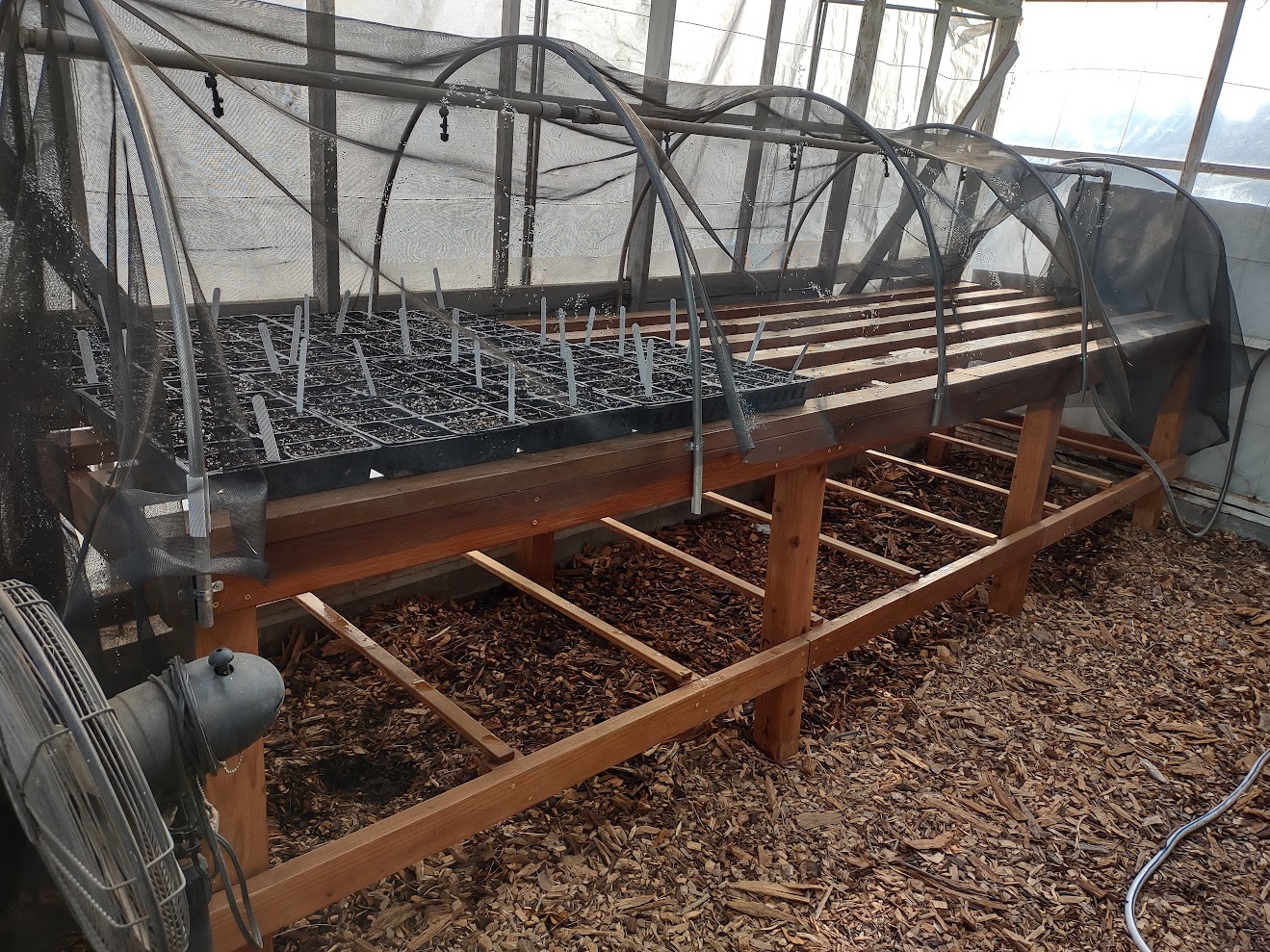 Eagle Project: Greenhouse Bench In Use @ Fertile Groundworks